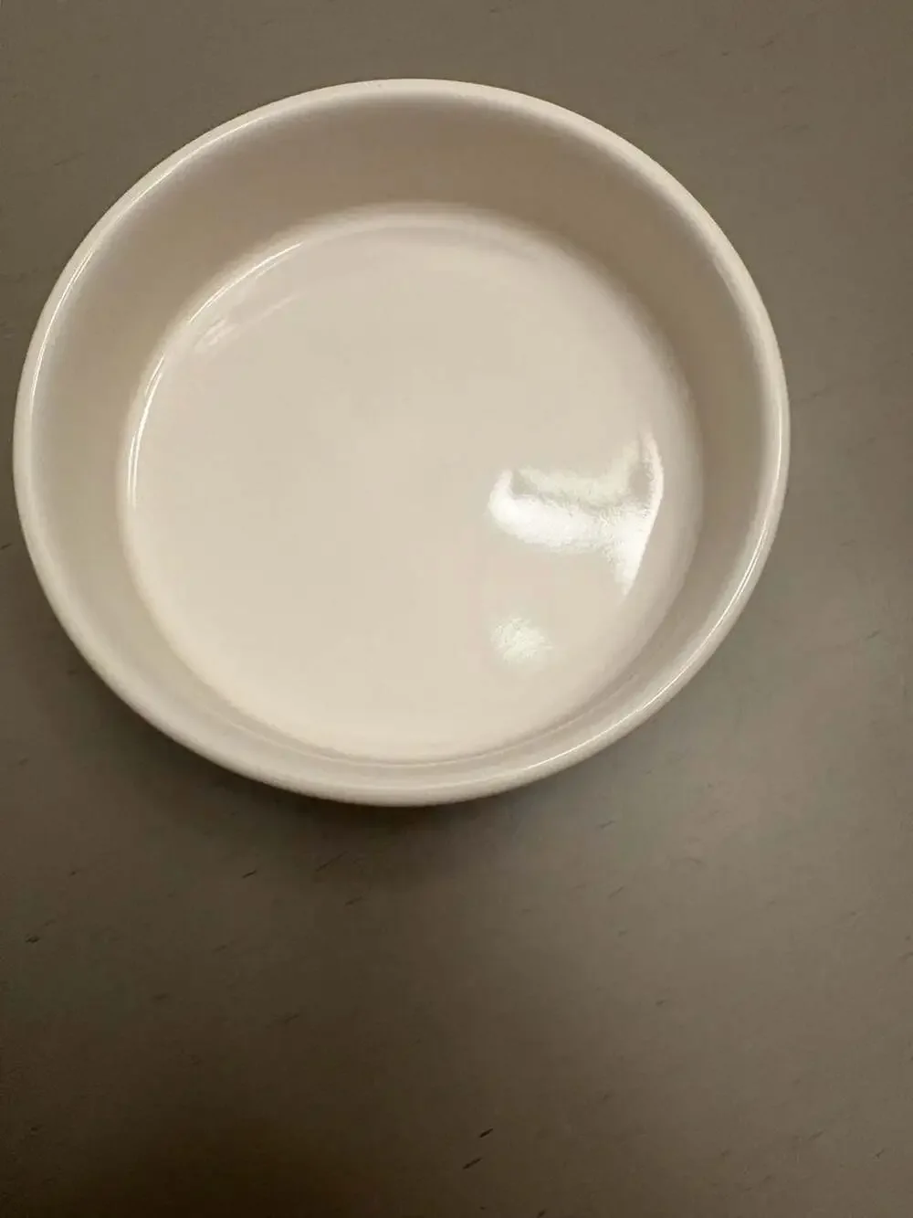 Rae Dunn Artisan Collection SPOILED Ceramic Pet Bowl